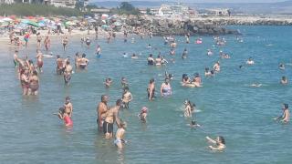 Голям проблем по родното Черноморие на старта на сезона 