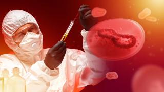 Светът е в паника! Плъзва нов щам на...