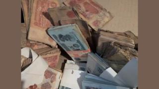 Мрежата прегря заради СНИМКА на десетки хиляди левове, изхвърлени на боклука