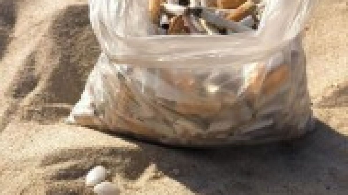 Варненка подпали мрежата с тези гнусни СНИМКИ от централния плаж 
