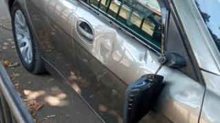 Полудели коне направиха голяма поразия в Перник СНИМКА 