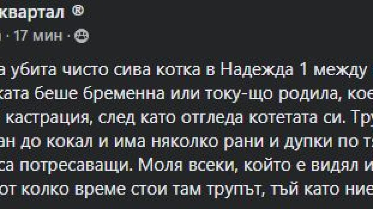 Брутално убийство в столичния квартал „Надежда“ разтърси мрежата