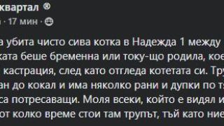 Брутално убийство в столичния квартал „Надежда“ разтърси мрежата