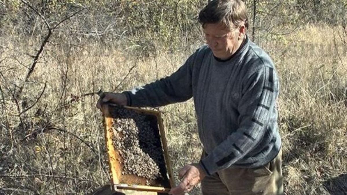 Ще се ударите по челото, като видите каква е цената на меда в Кюстендилско