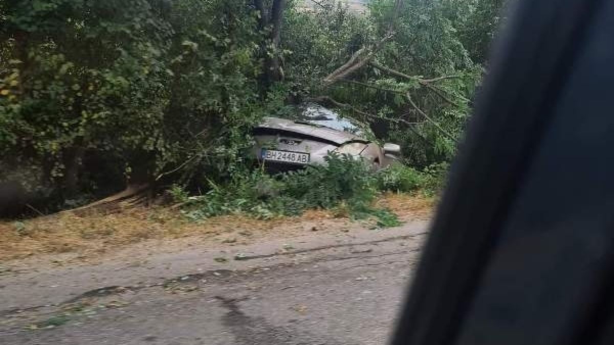 Зрелище във Видинско: Вижте къде се озова този шофьор
