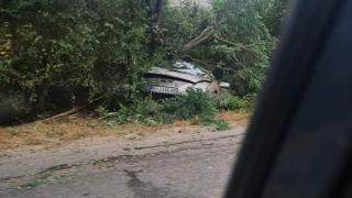 Зрелище във Видинско: Вижте къде се озова този шофьор