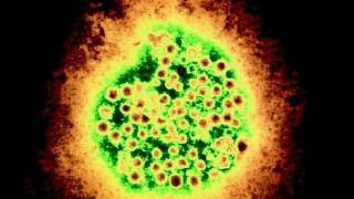 Забравете за COVID! От Китай тръгва нов вирус, който ще е "върхът на айсберга"