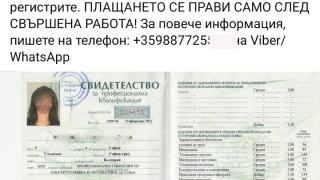 Оферта към гурбетчии в Германия: Плащаш и ти вадим диплома и шофьорска книжка – изрядни!