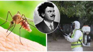 Най-опасното същество в света е било съюзник на българите по време на Първата световна война