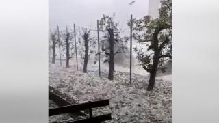 В Словения е страшно, за минути всичко побеля, идва и към нас ВИДЕО