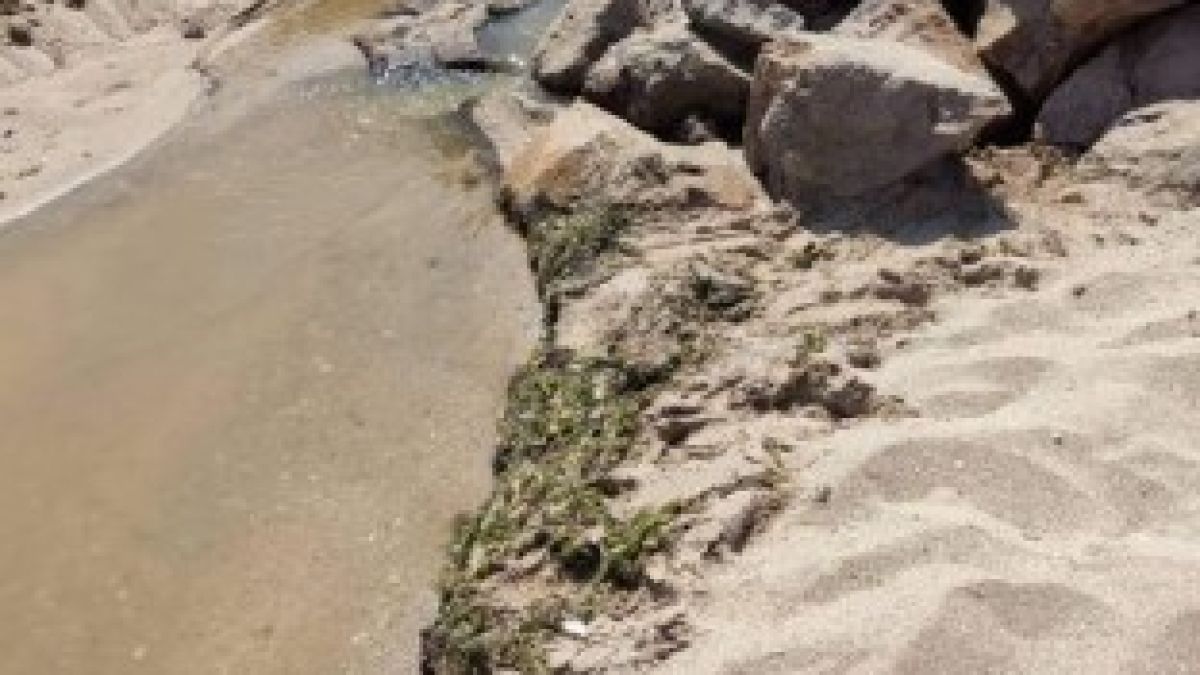 Туристи в Созопол в шок: Каква гадост се излива в морето ВИДЕО