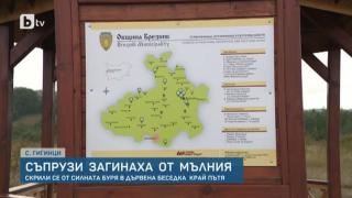 Нови разкрития за трагедията край Перник с двама съпрузи, убити от мълния