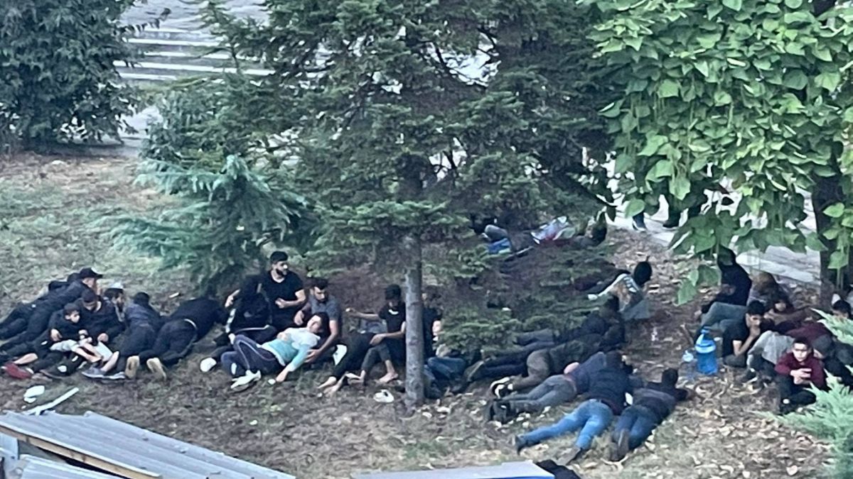 Проф. Чуков огласи с каква схема мигрантите пълзят из България