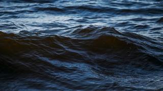 Двойна трагедия по морето! Украинка се удави пред погледа на 8-г. си син, а млад софиянец...