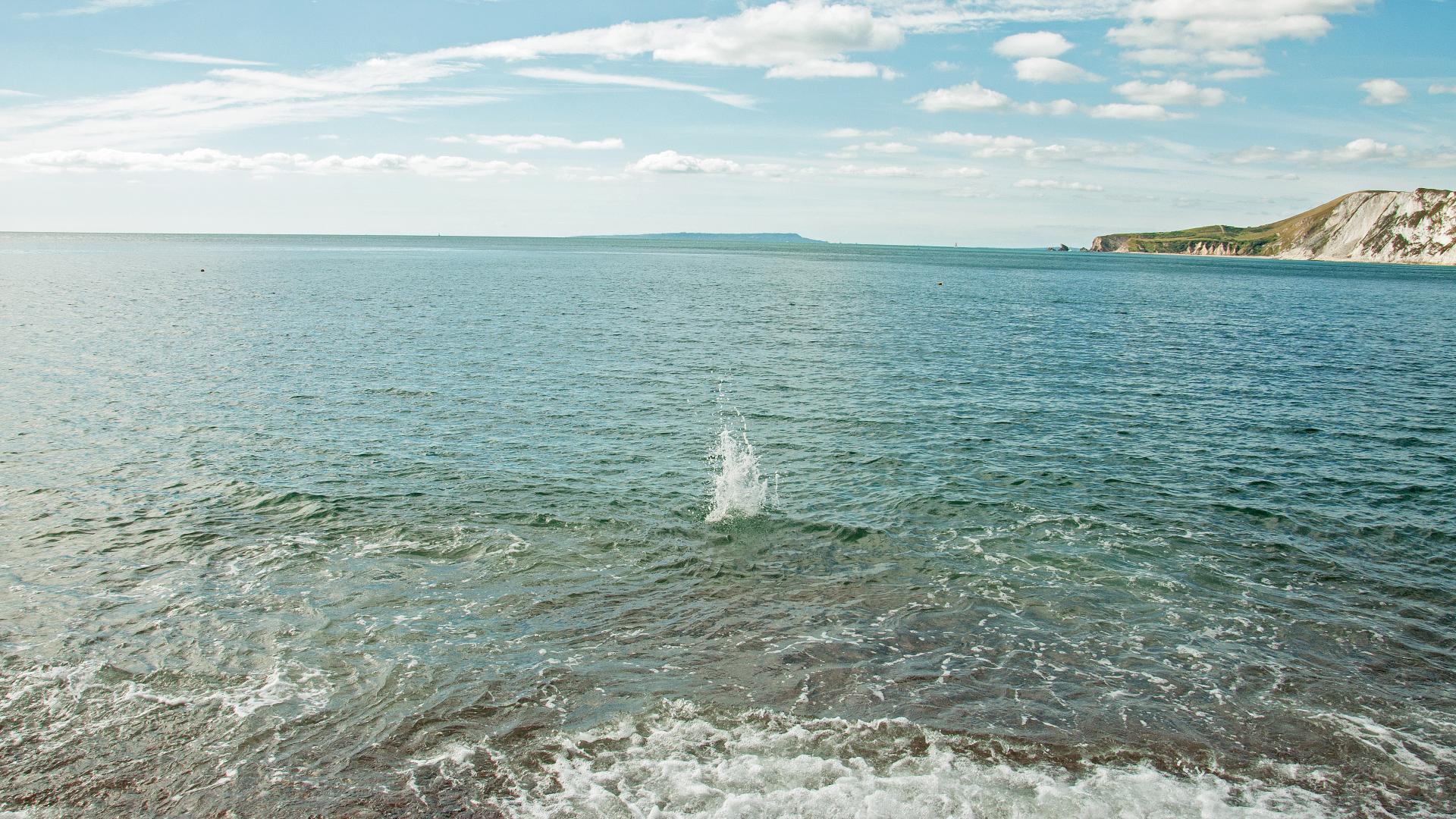 Изненада! Учените откриха нещо невиждано в Черно море