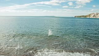 Изненада! Учените откриха нещо невиждано в Черно море