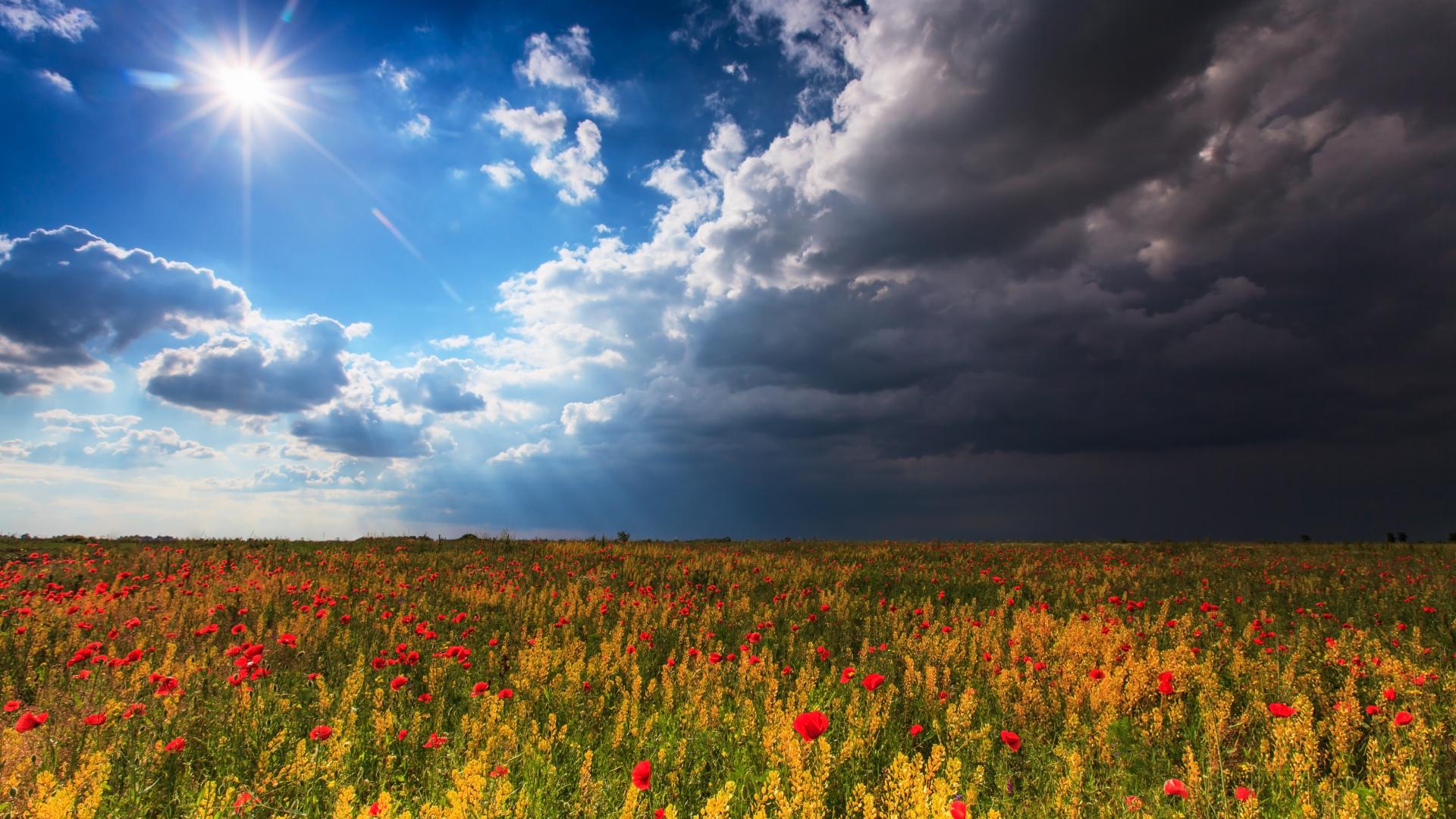 Синоптикът Янков стресна с прогноза за края на май, до дни ни връхлитат... 
