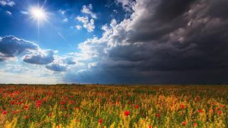 Синоптикът Янков стресна с прогноза за края на май, до дни ни връхлитат... 