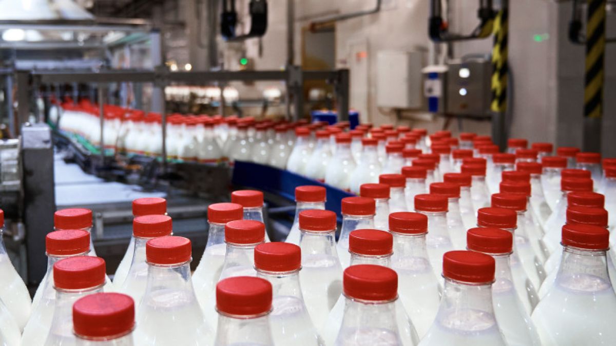 Задава се мегасделка на пазара на млечни продукти у нас
