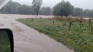 Пожарникари спасяват четирима бедстващи в Карловско 