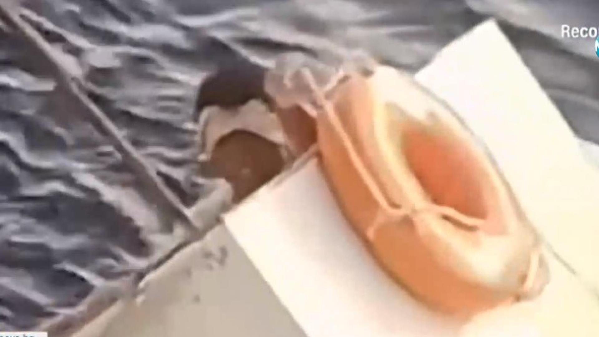 Спасиха по чудо корабокрушенец, плавал 11 дни във фризер ВИДЕО