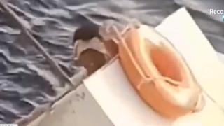 Спасиха по чудо корабокрушенец, плавал 11 дни във фризер ВИДЕО