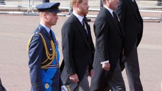 Край ковчега на кралицата Уилям и Хари направиха нещо, невиждано от смъртта на Даяна ВИДЕО