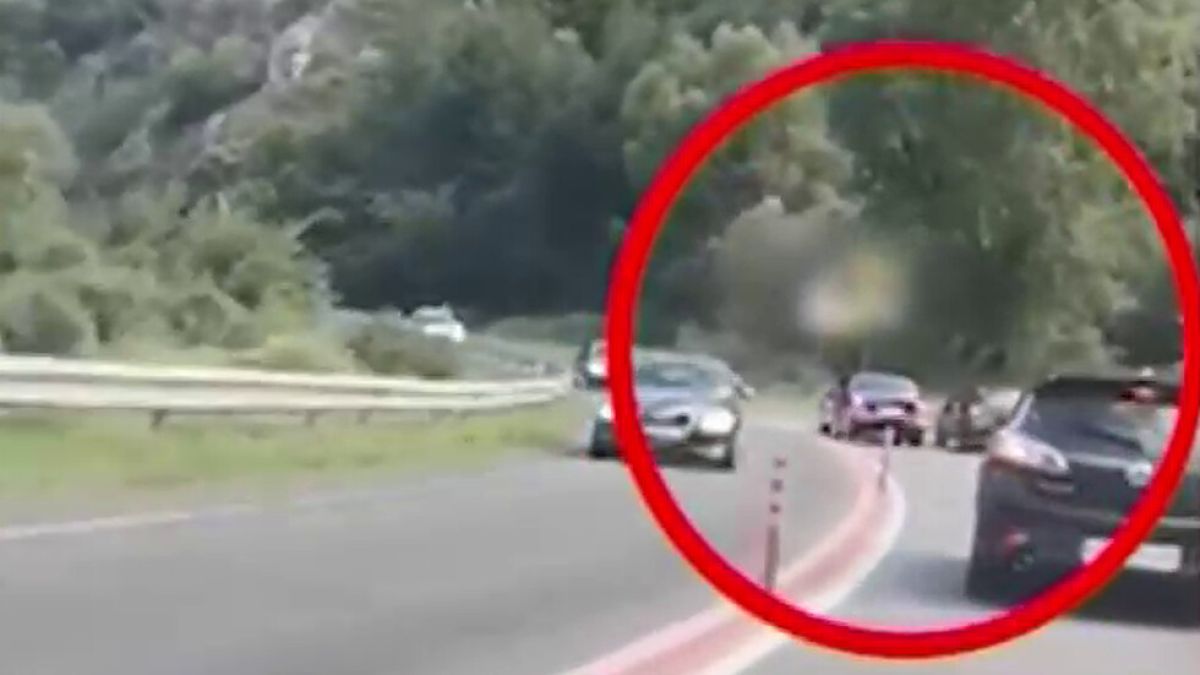 НСО с гореща новина за правителствената кола, изблъсквала автомобили в Кресненското дефиле ВИДЕО