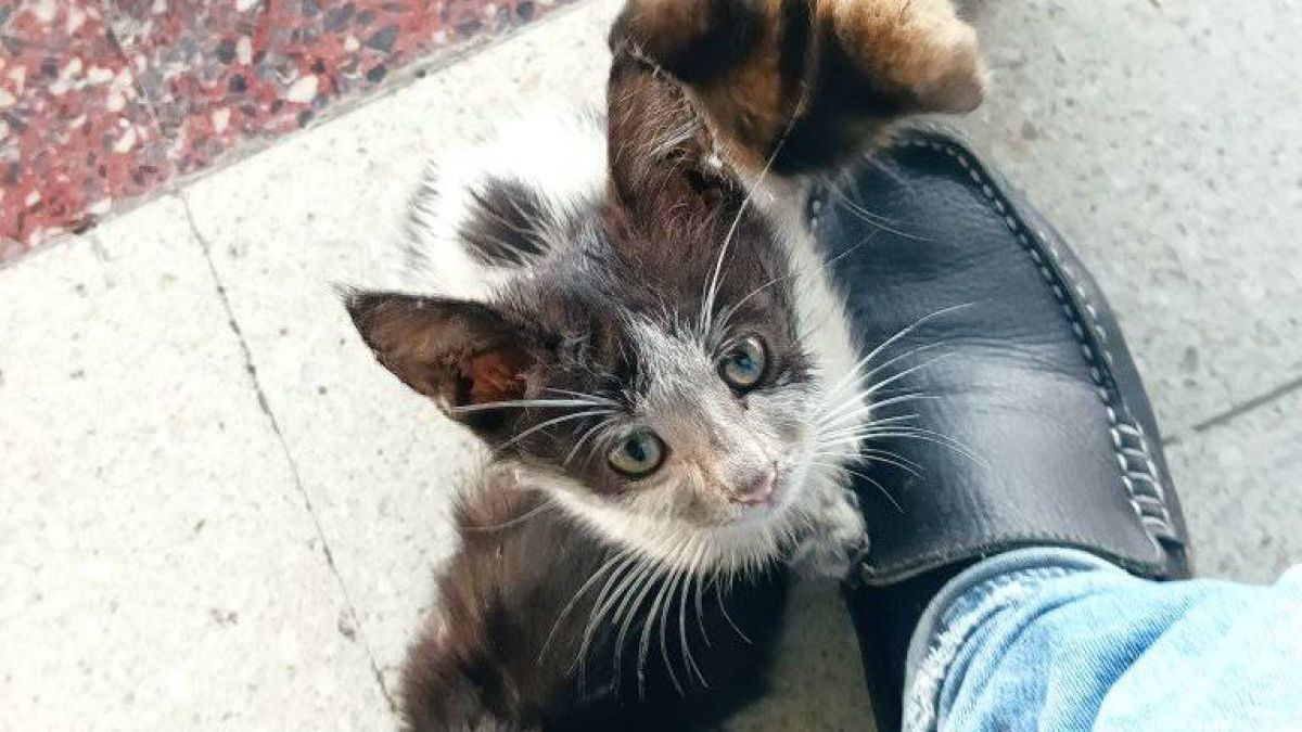 Тази новина от Кърджали стопли сърцата на всички добри българи