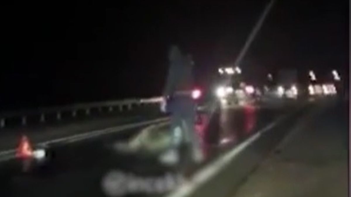 Шокиращо ВИДЕО 18+: Пиян нападна с брадва повален лос с думите "не хабете месото"