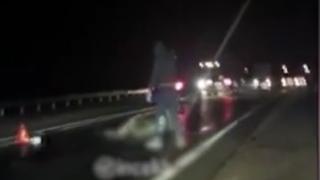 Шокиращо ВИДЕО 18+: Пиян нападна с брадва повален лос с думите "не хабете месото"