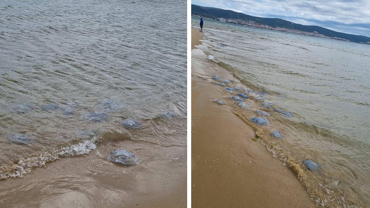 Морето полудя след мощния ураган! Такова чудо на плажа никой не помни СНИМКИ 