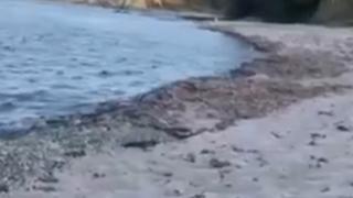 Уникално ВИДЕО от морето показва какъв невиждан феномен се е случил в Бургаско минути преди адската буря 