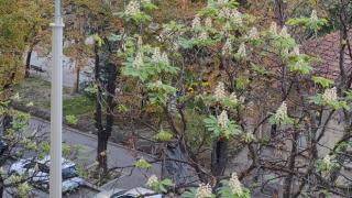 Поличба: СНИМКА във фейсбук сочи, че иде много студена зима