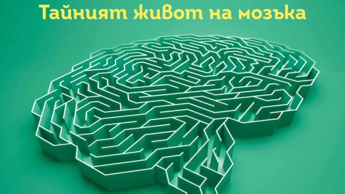 „Инкогнито“ от Дейвид Игълман разкрива тайния живот на нашия мозък 