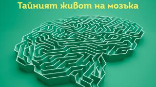 „Инкогнито“ от Дейвид Игълман разкрива тайния живот на нашия мозък 