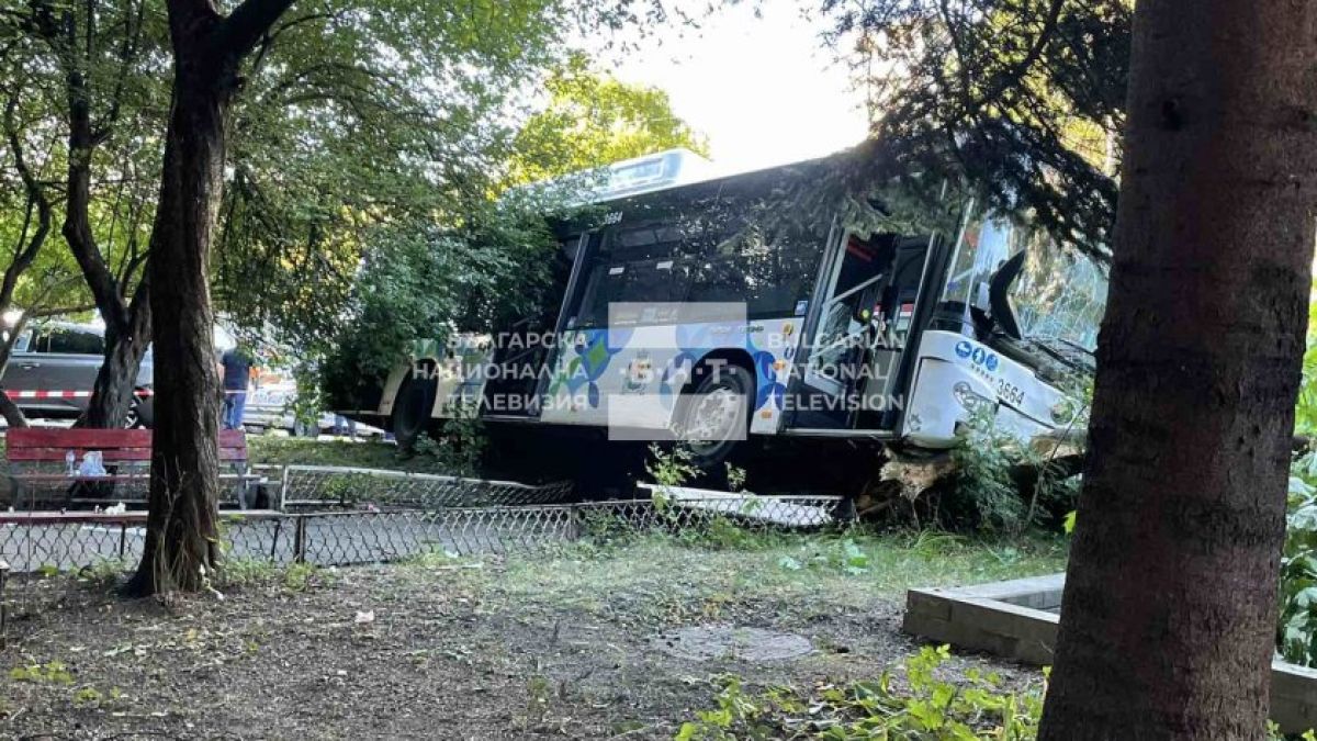 Първи подробности за адското меле с рейс, забил се в коли и дърво в София ВИДЕО