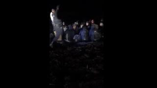 Охранител влезе в лозята край Карнобат заради съмнителни шумове и изненадващо откри... ВИДЕО 