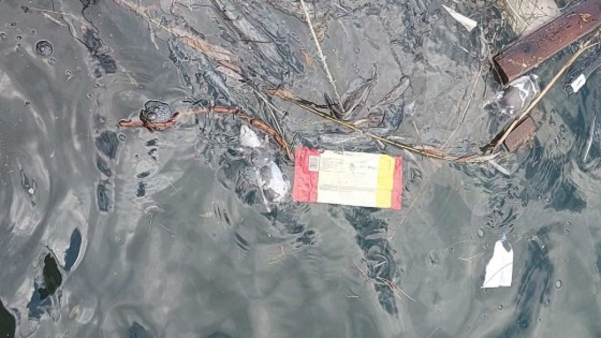 Гнусна гледка и куп трупове в морето край Морска гара СНИМКИ