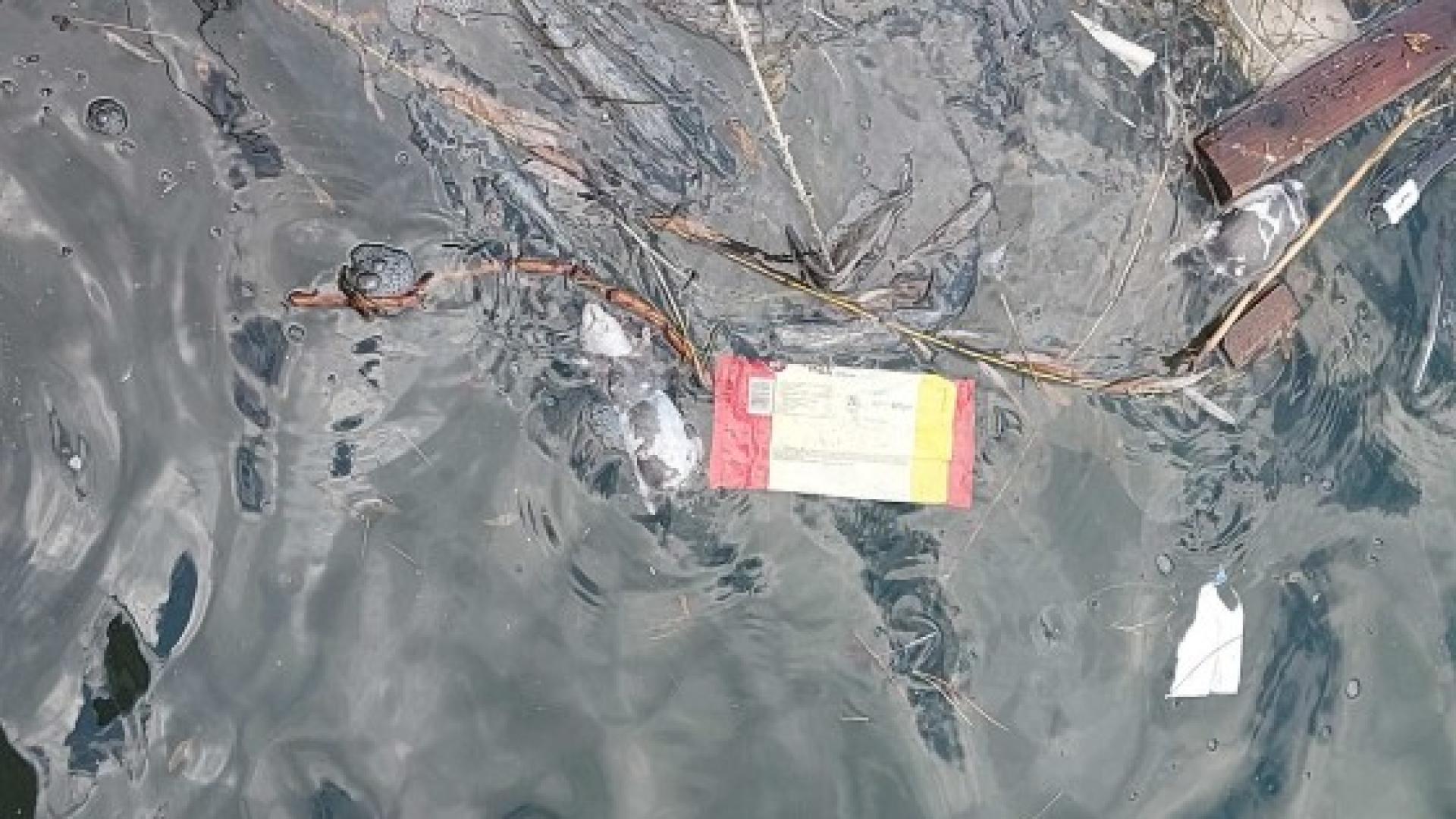 Гнусна гледка и куп трупове в морето край Морска гара СНИМКИ