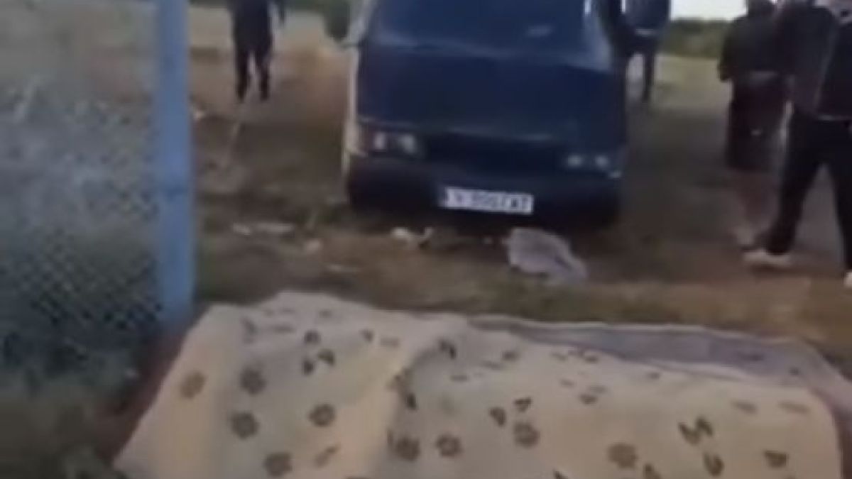 Брутално ВИДЕО: Нагли мигранти газят оградата с бус и нахлуват в България, посрещнати със "Селям Алейкум" 