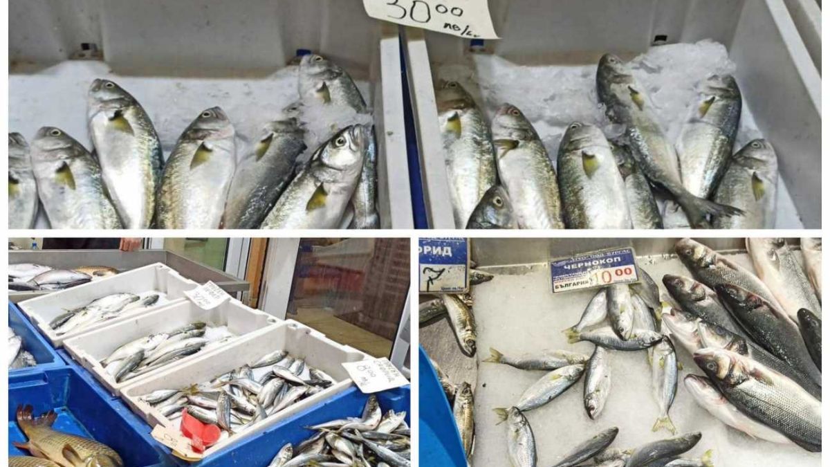Не е за вярване какво се случи днес на плажа в Бургас, а в морето...  СНИМКИ