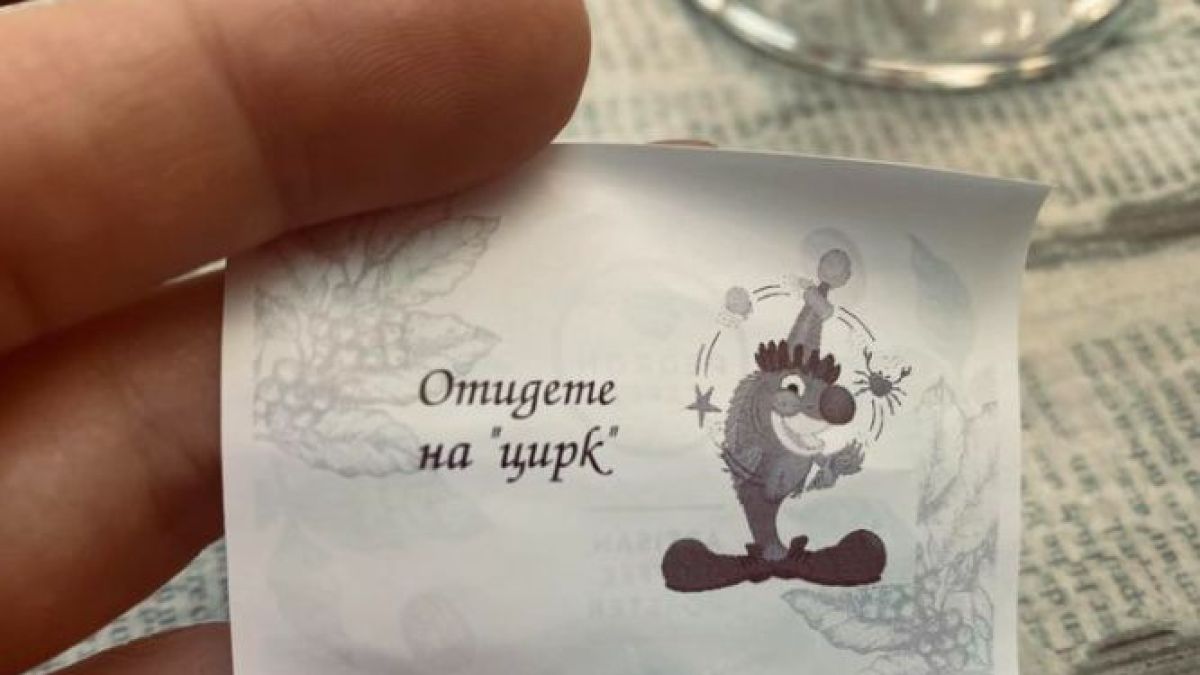 Лена Бориславова шокира с циркаджийска СНИМКА