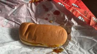 Възмутен тийнейджър: Този сандвич от KFC и гладно куче няма да го помирише СНИМКИ