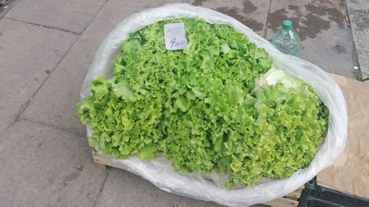 Нормално ли е това? Нетът пламна след този пост за цената на марулята СНИМКА