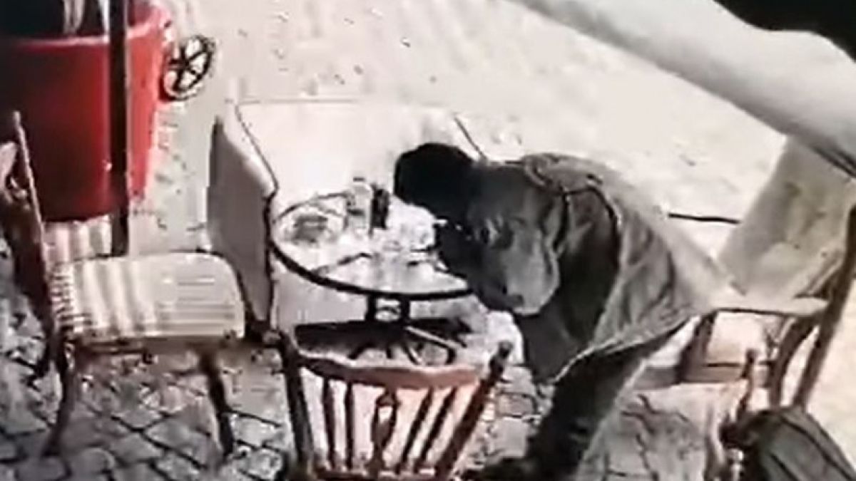 Пловдивчани пропищяха от страшна напаст на пъпа на града 