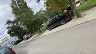 Нещо много хубаво направиха в София, но после... СНИМКИ