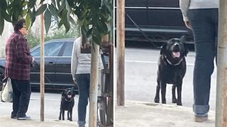 Възрастни дами ядосаха русенци и мрежата СНИМКИ