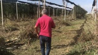 Кралят на ябълките в България разкри защо сложи край на бизнеса си след 40 г. успех