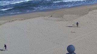Какви ги вършат тези двамата на плажа в Слънчев бряг СНИМКА 